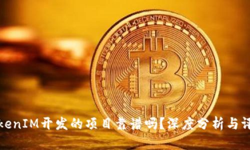 TokenIM开发的项目靠谱吗？深度分析与评估