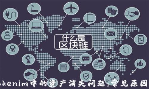 
如何解决Tokenim中的资产消失问题：常见原因与解决方案