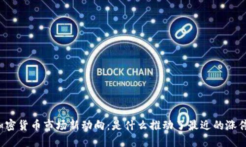 美国加密货币市场新动向：是什么推动了最近的涨停现象？