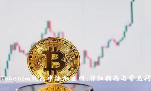 如何在Tokenim钱包中添加主网:详细指南与常见问题解答