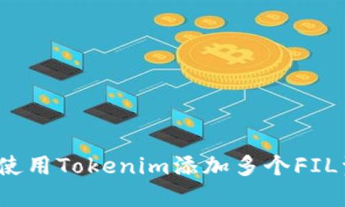如何使用Tokenim添加多个FIL资产？