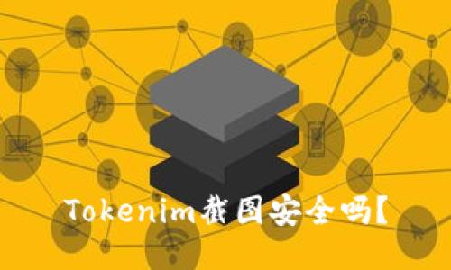 Tokenim截图安全吗？