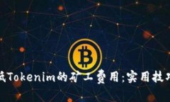 如何降低Tokenim的矿工费用：实用技巧与建议